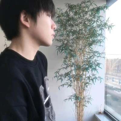 男头2025高清优质图片