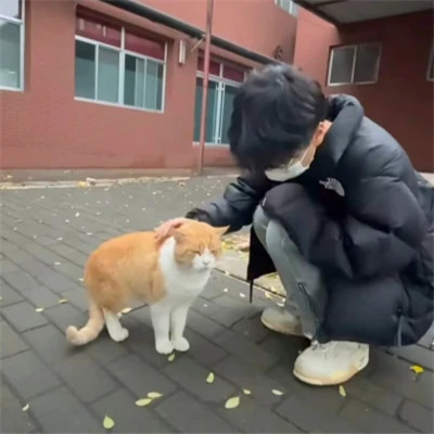 2025流行男头