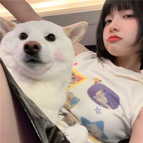 2025很有气质的女网红真人头像