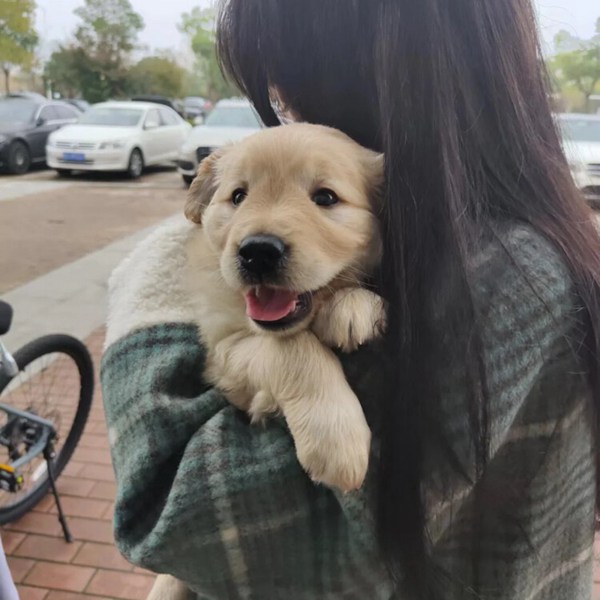网络清纯女生图片头像真人