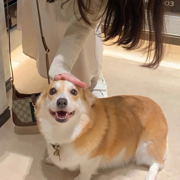 女生精致图片头像真人