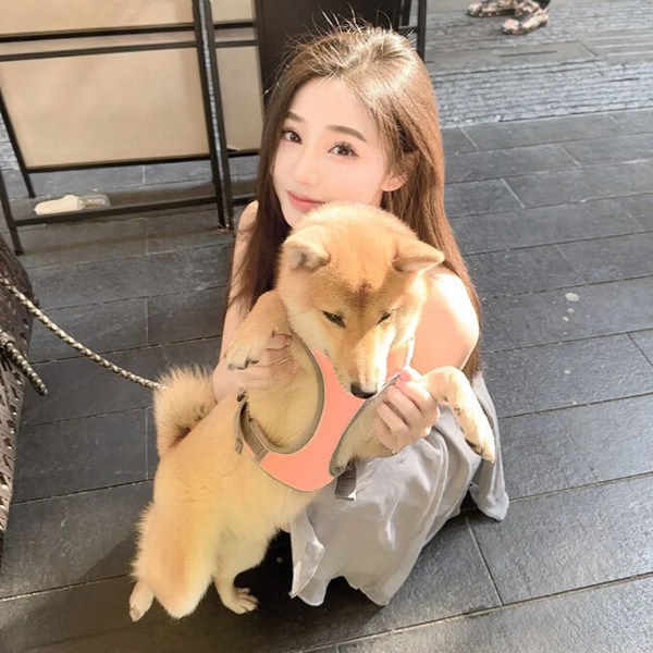 图片头像女生真人ins