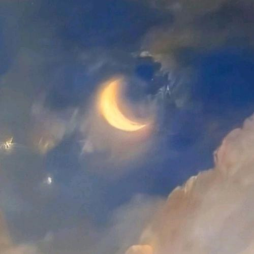 微信头像图片2025年治愈新版