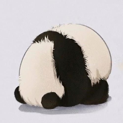 2025永久吸引人的微信头像图片