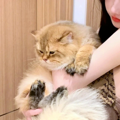 情侣头像
