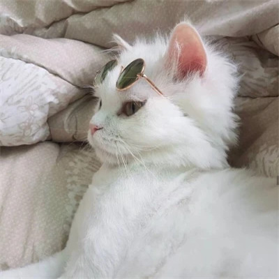 微信好看的情侣头像图片