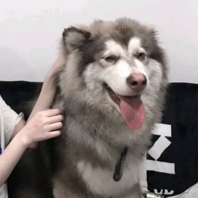 情侣头像二人专用两张