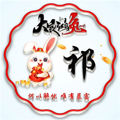 2025兔年暴富好运姓氏头像图片