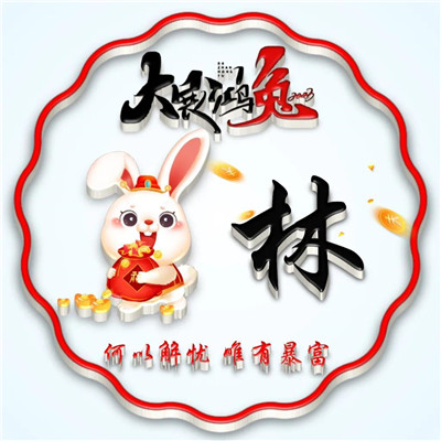 2025兔年暴富好运姓氏头像图片