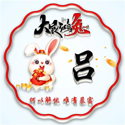 2025兔年暴富好运姓氏头像图片