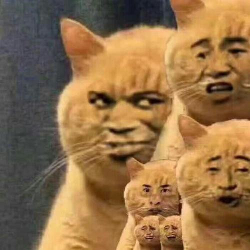 那些好看又沙雕的头像