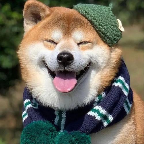 那些好看又沙雕的头像