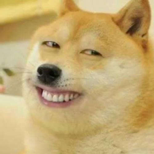 那些好看又沙雕的头像