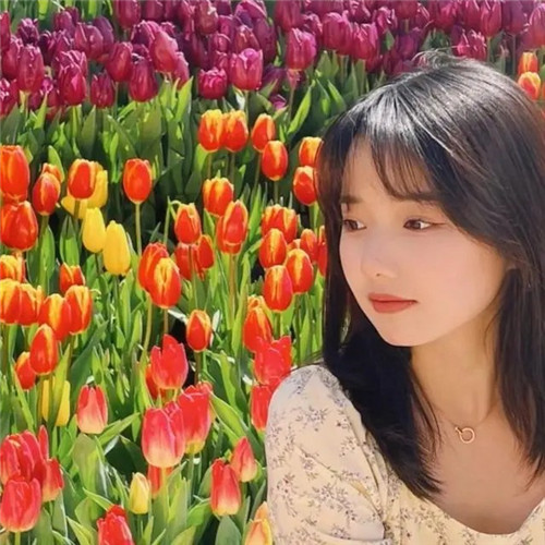 唯美清新真人郁金香女生头像图片