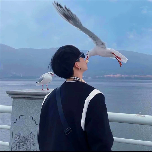 稀少好看的真人情头图片