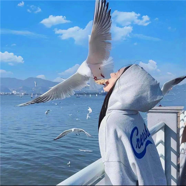 稀少好看的真人情头图片
