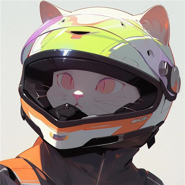 可爱机车版猫咪头像图片