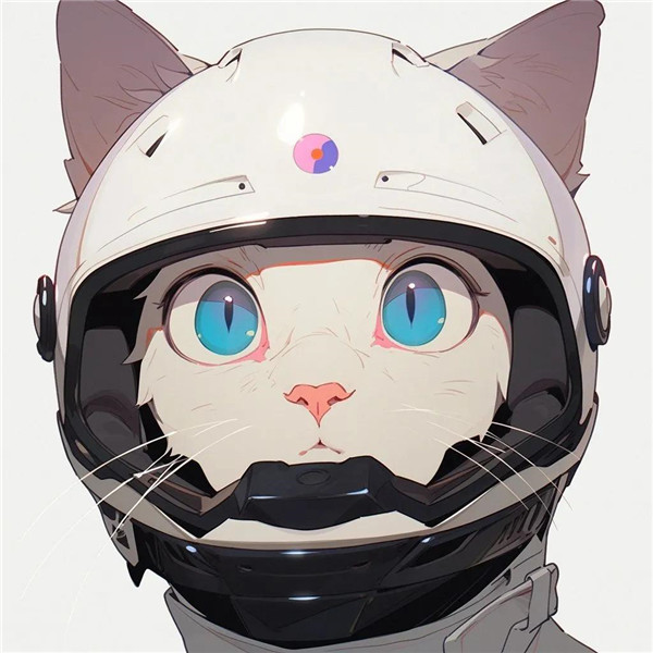 可爱机车版猫咪头像图片
