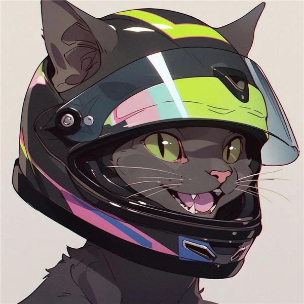 可爱机车版猫咪头像图片