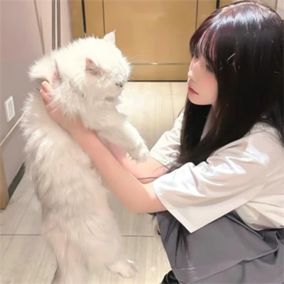 女神们的真人头像