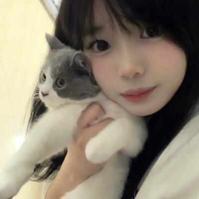 超清晰的美少女头像