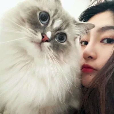 网图普通女生头像