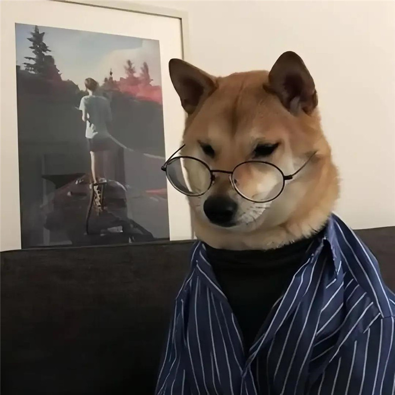 可爱超潮萌宠头像图片