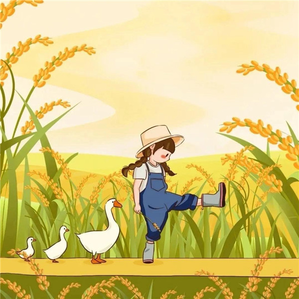 治愈系插画女孩头像图片