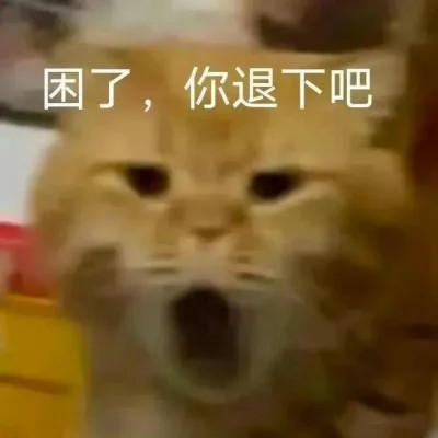 表情包搞笑专用头像图片