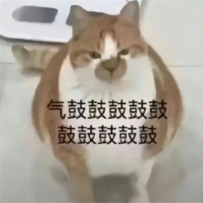 表情包搞笑专用头像图片
