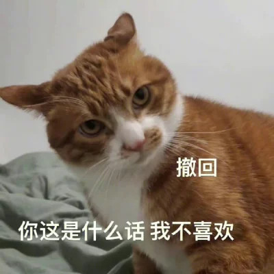 表情包搞笑专用头像图片