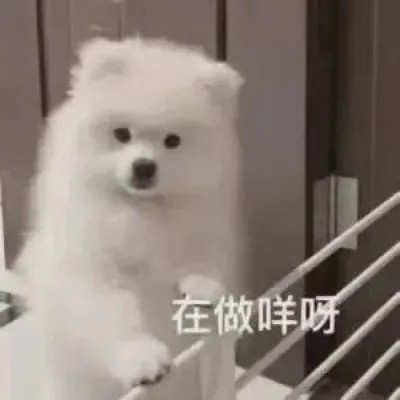 表情包搞笑专用头像图片