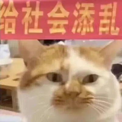 表情包搞笑专用头像图片
