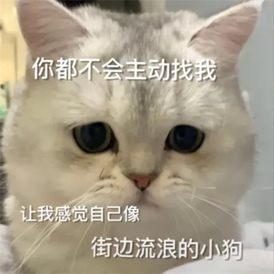 表情包搞笑专用头像图片