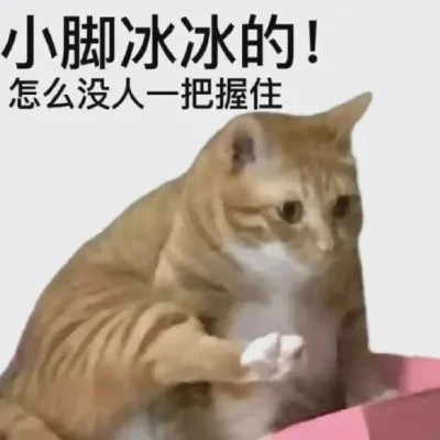 微信表情头像图片