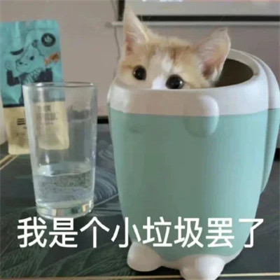 微信表情头像图片