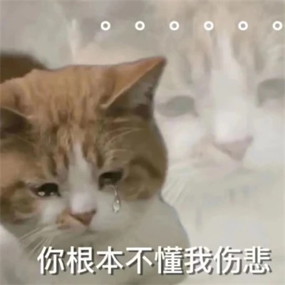 微信表情头像图片