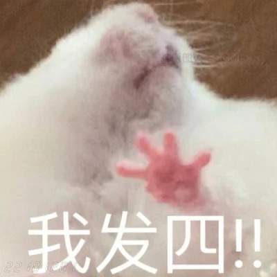 微信表情头像图片