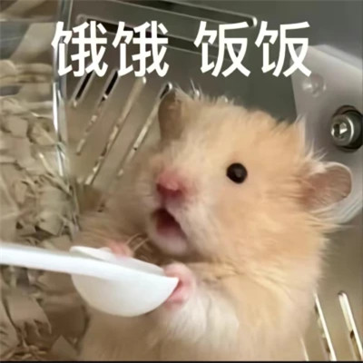 微信表情头像图片