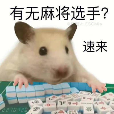 微信表情头像图片