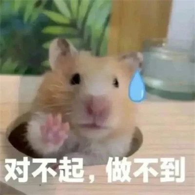 微信表情头像图片
