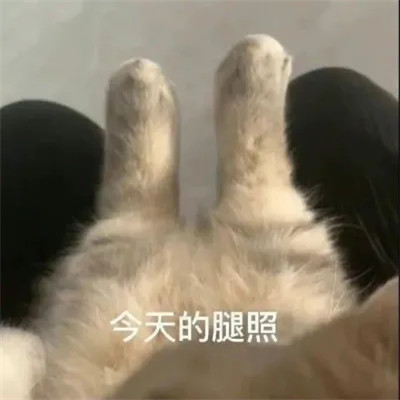 微信表情头像图片