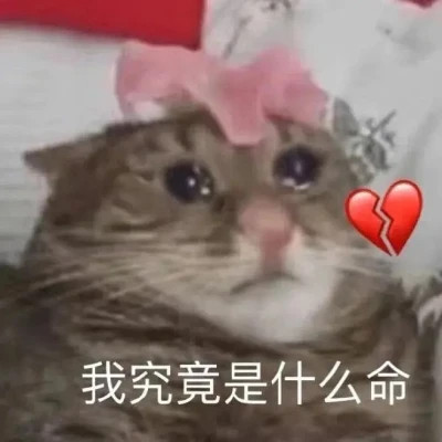 微信表情头像图片