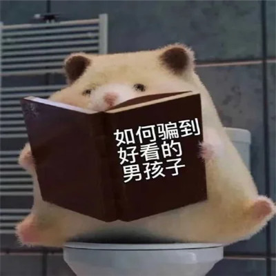 可爱又搞笑的表情包头像图片
