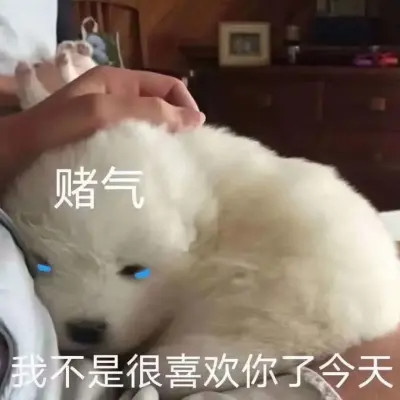 可爱又搞笑的表情包头像图片