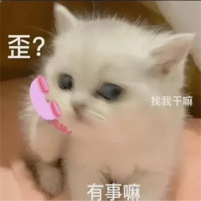 可爱又搞笑的表情包头像图片