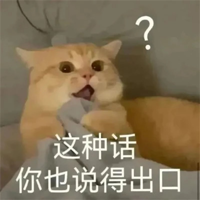 可爱又搞笑的表情包头像图片