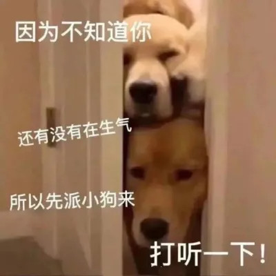 可爱又搞笑的表情包头像图片