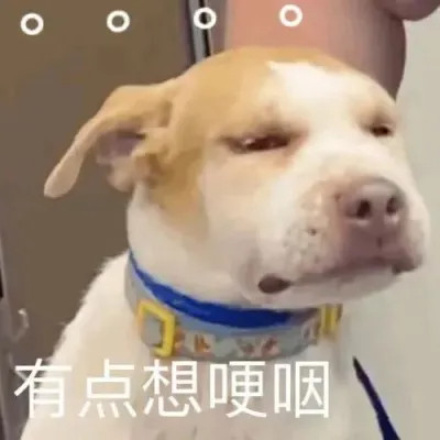 可爱又搞笑的表情包头像图片