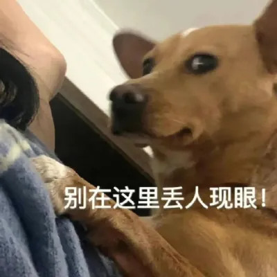 可爱又搞笑的表情包头像图片